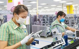 Thương mại giảm kỷ lục, doanh nghiệp Việt 'hụt hơi'