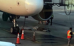 Nhân viên mặt đất bị nuốt chửng vào động cơ máy bay