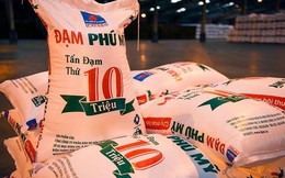 Đạm Phú Mỹ (DPM) muốn tăng vốn điều lệ trong năm 2023, sắp chi nốt gần 1.200 tỷ trả cổ tức cho cổ đông