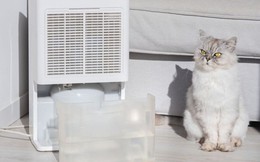 Nắng nóng khiến điều hòa phải hoạt động hết công suất, đây có thể là thứ giúp hóa đơn điện của bạn "dễ chịu" hơn?