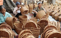 Hà Nội: 7 năm nữa, thu nhập của người dân nông thôn đạt 120 triệu đồng/năm