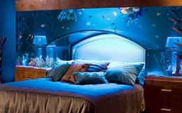 Có nên đặt bể cá trong phòng ngủ?