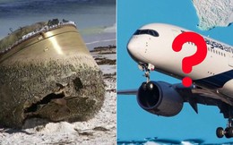 Phát hiện vật thể khổng lồ dạt vào bờ biển, dân tình suy đoán là của chiếc máy bay mất tích bí ẩn nhất lịch sử hàng không