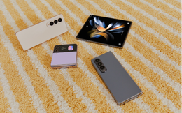 "Đi ngược" với số đông, lối dẫn đến thành công