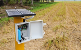 Sáng kiến của nông dân Việt Nam lên báo Tây: Chỉ cần ở nhà cũng biết lượng nước ở ruộng