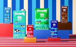 VDSC: Bộ nhận diện thương hiệu mới sẽ giành lại thị phần cho Vinamilk, có thể thành công như case của Viettel và Biti's