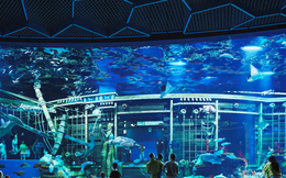 Hé lộ tổ hợp thương mại lớn nhất của Lotte tại VN: Quy mô 354.000m2 sàn, thủy cung có bể vòm Acrylic lớn nhất Đông Nam Á, mang ý tưởng "chuyến du lịch 1 ngày giữa lòng thành phố"