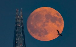 Loạt ảnh chụp "siêu trăng hươu" lớn nhất năm 2023, tỏa sáng rực rỡ làm xiêu lòng người yêu thiên văn khắp thế giới