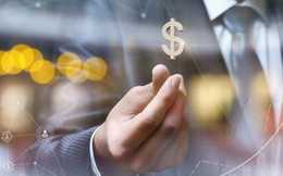 Bỏ tiền vào 'giỏ' nào sinh lời nhiều nhất sau 9 năm?