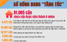 Vì sao hơn 81.000 căn nhà/căn hộ ở TP HCM chưa được cấp sổ hồng?