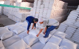 Giá gạo Việt tăng kỷ lục trong 2 năm