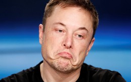 Bi hài Elon Musk: Đuổi 80% nhân viên Twitter để rồi họ giúp Mark Zuckerberg tạo ra 'phiên bản copy' Threads