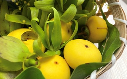 Chị em mê mẩn, thị sáp mini đầu mùa ‘cháy hàng’