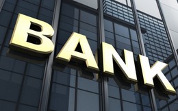 Toàn cảnh ngành ngân hàng quý II: NIM mỏng hơn, nợ xấu tăng mạnh tại nhóm tư nhân