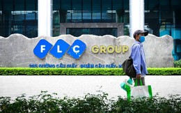 Chủ tịch Bamboo Airways Lê Thái Sâm rời chức tại FLC, Hội đồng quản trị FLC còn những ai?