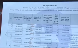 Bất thường hợp đồng hợp tác kinh doanh của Công ty Bất động sản Nhật Nam