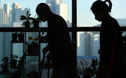 Lý do ngày càng nhiều người già Hàn Quốc chọn hưởng lương hưu sớm