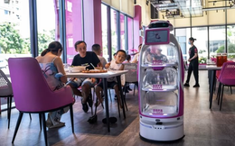 Robot Trung Quốc 'xâm chiếm' các nhà hàng Hàn Quốc, thổi bùng cơn giận dữ và sự lo sợ của người lao động
