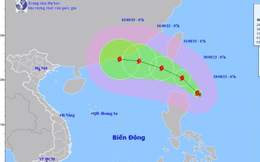 Tin bão mới nhất 29/8: Bão Saola rất mạnh, đang ở gần Biển Đông