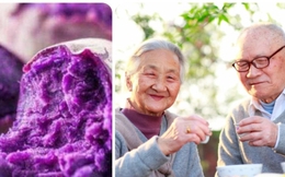 Loại củ màu tím chữa bệnh bách, kéo dài tuổi thọ cho người Nhật bán đầy chợ Việt Nam