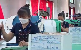 Lương tối thiểu vùng năm 2024 có tăng hay không?