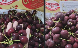 Giá cherry nhập khẩu Mỹ thấp kỷ lục