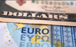 Đồng Euro rơi 8 tuần liên tiếp: Chuyện gì đang xảy ra?