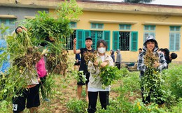 Từ trường cấp 3 dạy làm nông kiểu Nhật ở Nam Định đến lĩnh vực tiềm năng nhiều nhà đầu tư Nhật chờ trông ở Việt Nam