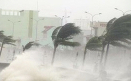 Từ nay đến cuối năm, Biển Đông có thể đón 3 - 5 cơn bão, áp thấp nhiệt đới