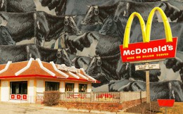 McDonald’s, Starbucks, Pepsi từ bỏ mục tiêu bảo vệ môi trường vì lợi nhuận?