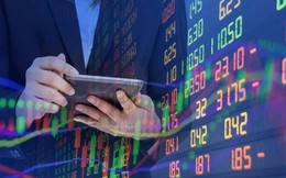 Một công ty chứng khoán chi hơn trăm tỷ và trở thành cổ đông lớn tại In Sách Giáo khoa Hòa Phát