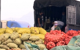 Trung Quốc đứng đầu thị trường nhập khẩu rau quả Việt Nam