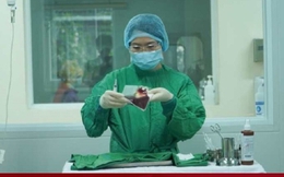 Lần đầu tiên Việt Nam điều trị thành công bệnh ung thư hạch bằng 2 kỹ thuật cao