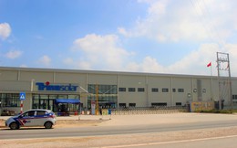 Nhà sản xuất pin năng lượng mặt trời lớn nhất thế giới chuẩn bị đổ 400 triệu USD xây nhà máy thứ 3 tại Việt Nam