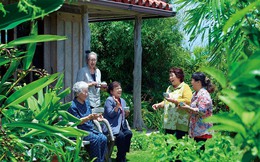 Người sống thọ thường có 4 điểm chung, số 1 ít người Việt làm được