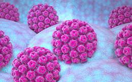 Loại virus là "thủ phạm" gây ra 6 căn bệnh ung thư ở cả nam và nữ
