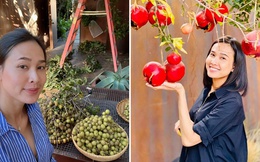Đã mắt với vườn trái cây trong biệt thự của Hoa hậu Dương Mỹ Linh, có 1 góc đặc biệt ai xa quê cũng thích