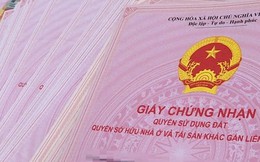 Trường hợp nào đất không giấy tờ trước tháng 7/2014 sẽ được cấp sổ đỏ?