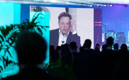 WSJ: Elon Musk bị nghi sử dụng ma túy, hội đồng quản trị 6 công ty từ Tesla tới SpaceX hoang mang, nhà đầu tư sợ hãi