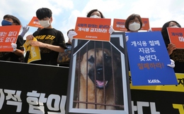 Hàn Quốc thông qua dự luật cấm tiêu thụ thịt chó