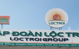 Lộc Trời triệu tập ĐHĐCĐ bất thường để kiện toàn nhân sự