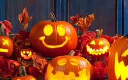 Tại sao bí ngô trở thành biểu tượng của Halloween?