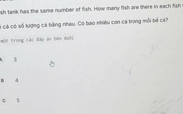 Bài toán "gây lú" nhất hiện tại: "Mỗi bể có số lượng cá bằng nhau, hỏi có bao nhiêu cá trong mỗi bể?"