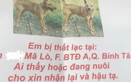 Lên mạng đăng tin tìm vật nuôi, bất ngờ thành 'con mồi' của những kẻ lừa đảo