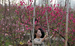 Bộ Lao động báo cáo Thủ tướng lịch nghỉ nhà cái uy tín ac 9 ngày liên tiếp