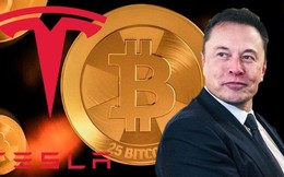 ‘Giao dịch Trump’ bùng nổ, giá bitcoin và cổ phiếu Tesla cùng ‘go to the moon’