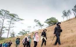 Trải nghiệm cung đường trekking đẹp nhất Việt Nam mùa cỏ cháy
