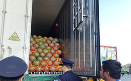 Gần 800 tấn nông sản Việt xuất Trung Quốc ngày mùng 1 Tết
