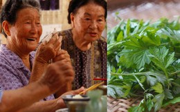 Loại lá bán đầy chợ Việt được người Nhật chuộng, có trong chế độ ăn giúp sống lâu 100 tuổi: Bổ máu, tiêu hóa khỏe