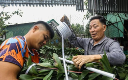 Bỏ túi tiền triệu mỗi ngày từ dịch vụ làm cây ‘trừ tà’